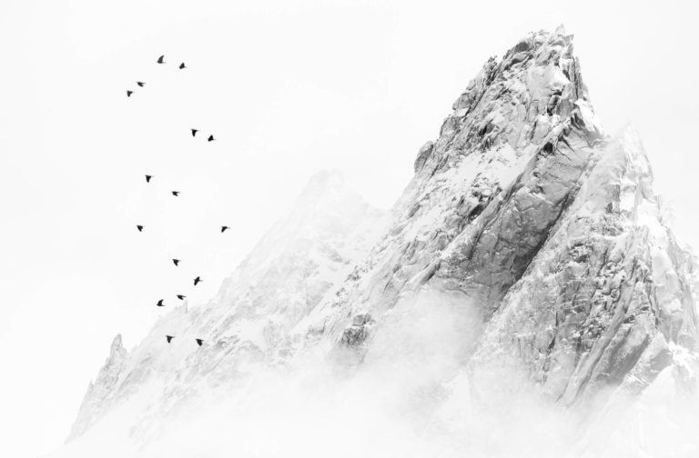 Palombes devant l’Aiguille de Blaitière massif du Mont-Blanc noir et blanc – photo Alexandre Deschaumes