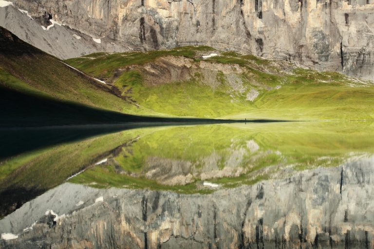 reflet anterne silhouette fiz