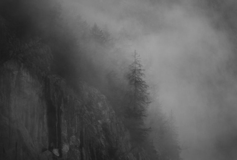 brume-sapin-gris-ambiance