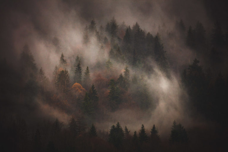 brumes-onirisme-foret-haut-giffre