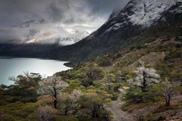 le Trek du "W" trek-w-refugio-cuernos-chili-torresdelpaine-patagonie