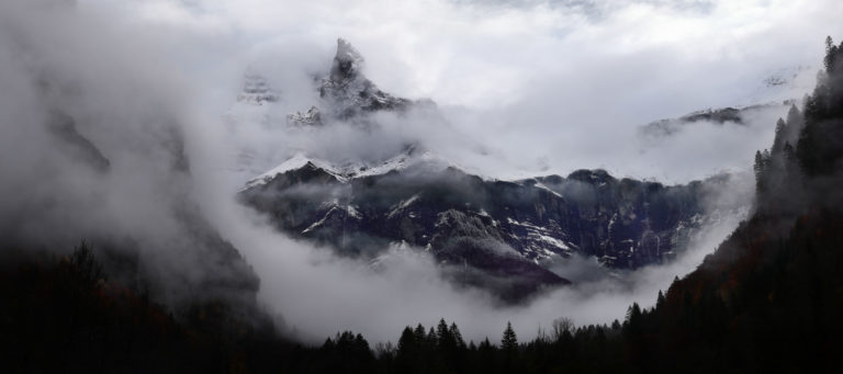 corne-chamois-sixt-nambride-haut-giffre