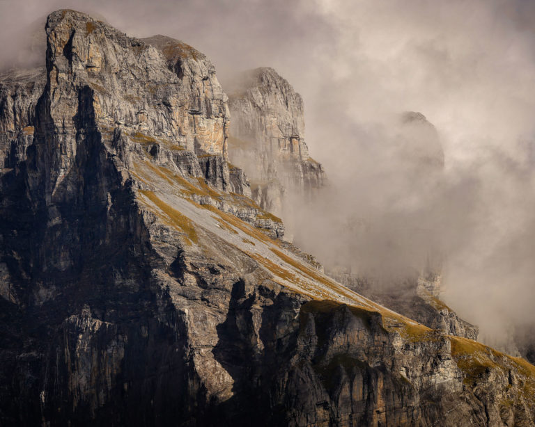 assemblage-corne-de-chamois-haut-giffre-sixt
