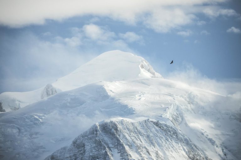 aigle royal mont blanc bleu blanc clair