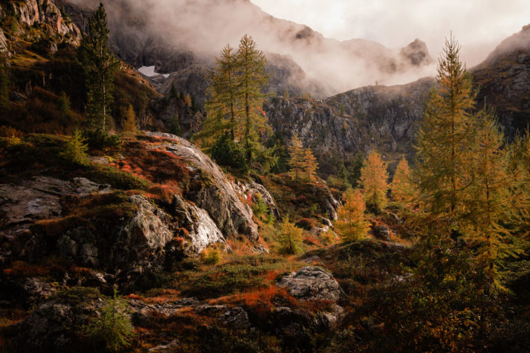 Ambiance automnale mystérieuse aux abords du lac d’Émosson, Valais suisse, avec mélèzes dorés, rochers et brumes envoutantes