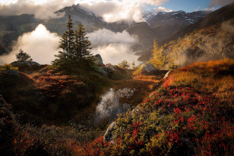 Ambiance automnale au-dessus du lac d’Émosson, Valais suisse, avec myrtilliers rouges, Tenneverge et Pointe de la Finive dans le massif du Haut Giffre