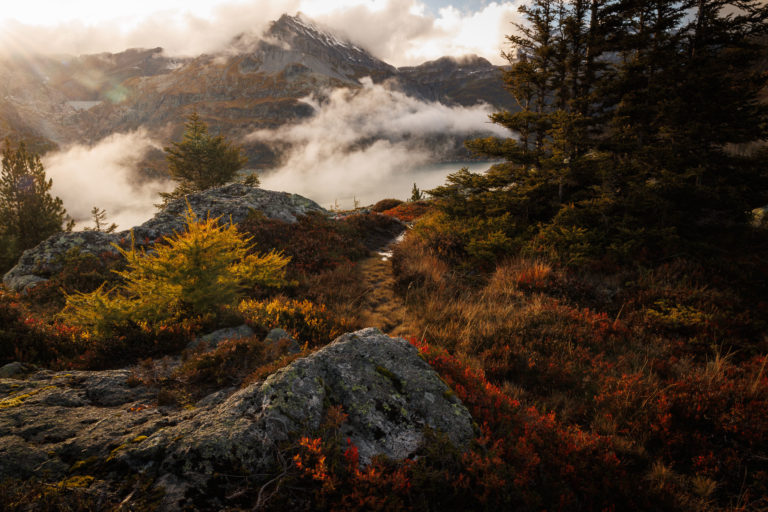 Sentier parmi les myrtilliers rouges, les mélèzes dorés et les épicéas, à 2000 m d’altitude près du lac d’Émosson, avec la Pointe de la Finive dans la brume. Photographie Alexandre Deschaumes.