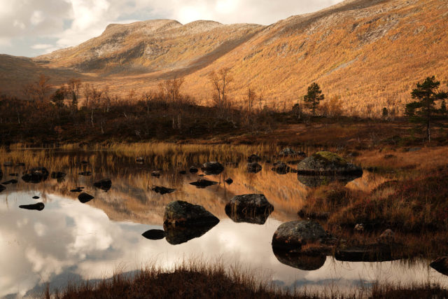Plan d&rsquo;eau d&rsquo;Andervatnet avec rochers et v&eacute;g&eacute;tation bor&eacute;ale en automne, dans la vall&eacute;e d&rsquo;Anderdalen &agrave; Senja