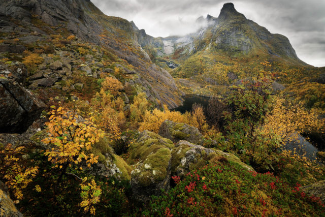 Versant granitique et v&eacute;g&eacute;tation bor&eacute;ale dense sur les pentes du Stjernhauet, au-dessus de Nusfjord, dans les Lofoten, Norv&egrave;ge