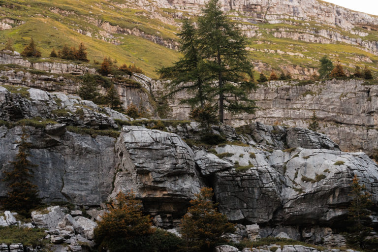 6241-chalets-de-sales-giffre