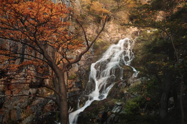 Cascade dans la forêt Patagonne cascade patagonie automne foret