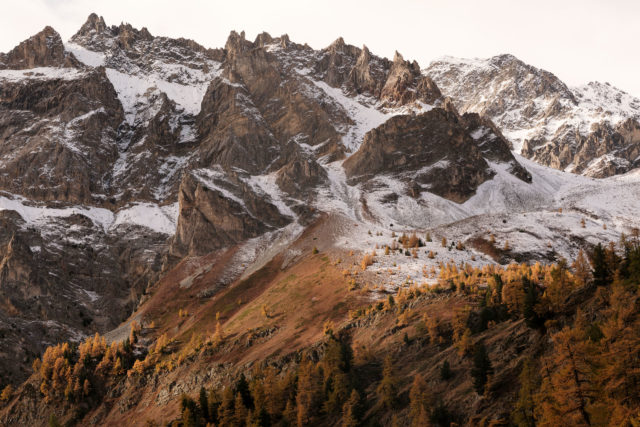 Mélèzes et premières neiges – Vallon de Tavernette Mélèzes dorés et premières neiges dans le vallon de Tavernette, chaînon du Thabor, Hautes-Alpes