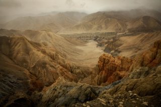 Dhakmar mustang-dakhmar-sable