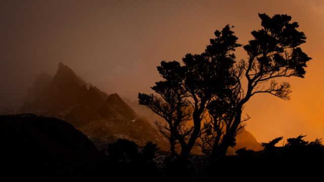 Embrasement silhouette arbre patagonie refugio los cuernos