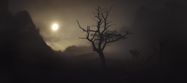 E.O.N Photographie d’Alexandre Deschaumes dans la vallée des Français, parc Torres del Paine (Patagonie, Chili). Silhouette d’arbre solitaire dans la brume, ambiance éthérée et dramatique.