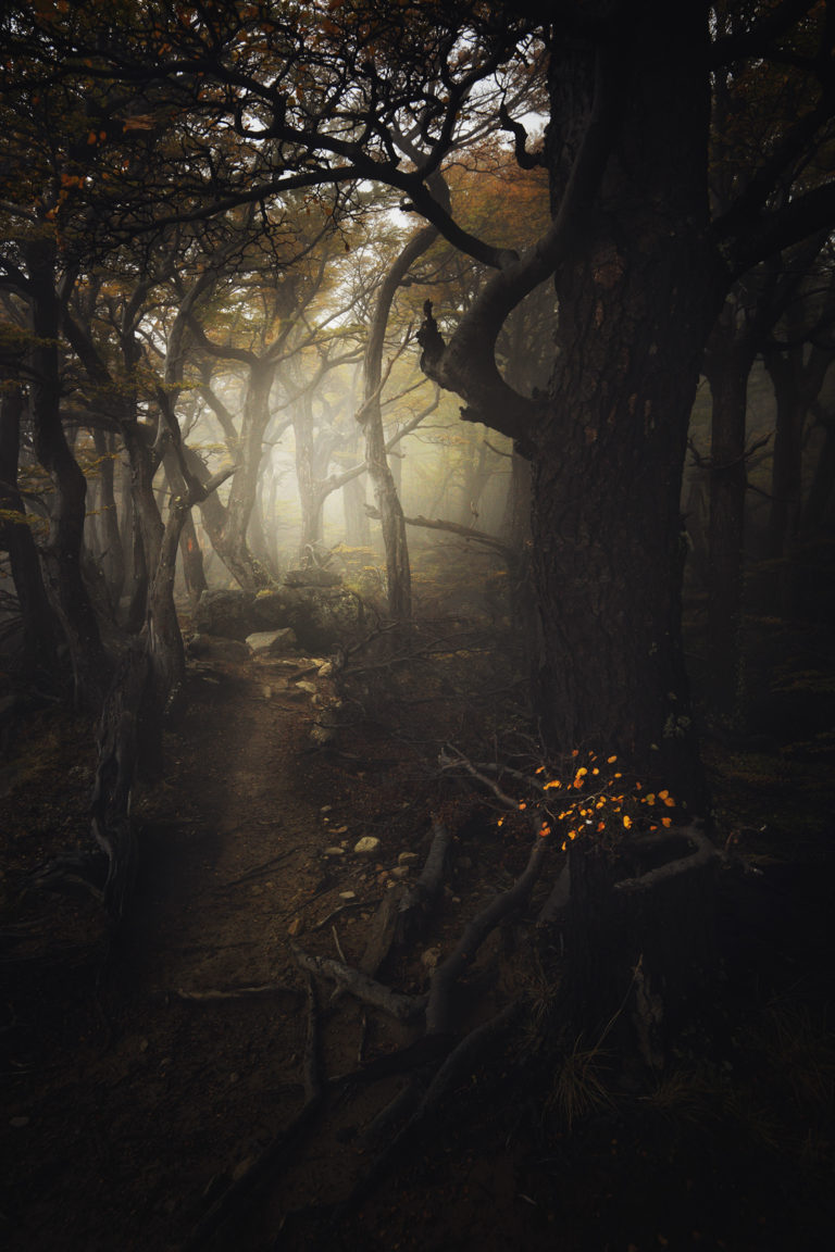 Fantasmagories vallée des français brume automne vertical patagonie