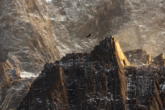Conquête patagonie-texture-torresdelpaine-cuernos-roche-details-condor