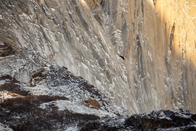 9209-2014 patagonie-texture-torresdelpaine-cuernos-roche-details-condor