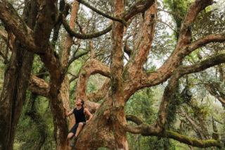 Annapurnas_5793 Annapurnas_5793