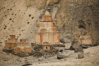 Mustang_7866 Mustang_7866