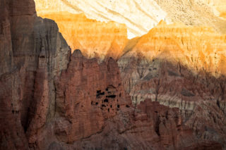 Mustang_8271 Mustang_8271