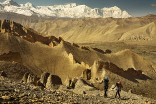 Mustang_8440 Mustang_8440