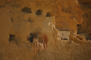 Mustang_8724 <p>Choser</p>