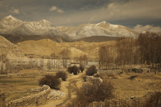 Mustang_8876 Mustang_8876