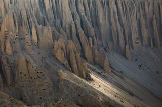 Mustang_9487 Mustang_9487