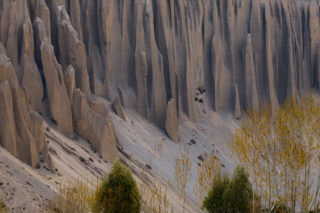 Mustang_9619 Mustang_9619