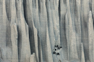 Mustang_9629 Mustang_9629