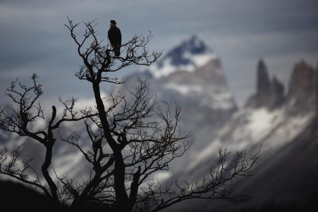 Chili_7657 Chili_7657