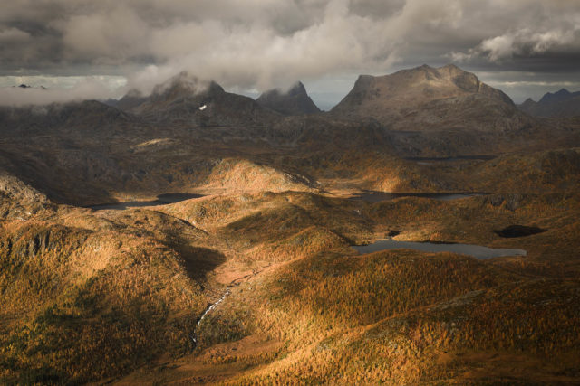 Vue a&eacute;rienne au drone du parc d&rsquo;&Aring;nderdalen en automne, &icirc;le de Senja en Norv&egrave;ge, paysages bor&eacute;aux aux couleurs dor&eacute;es