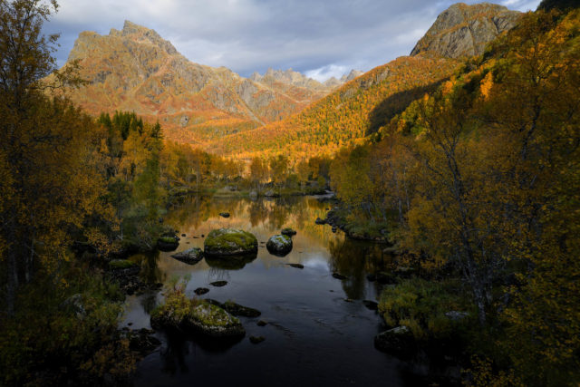 Parc du Moysalen, Vesteralen