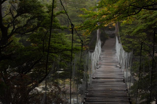 Chili_7930 <p>Patagonie - Trek du W</p>