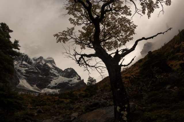 Chili_8053 <p>Patagonie</p>