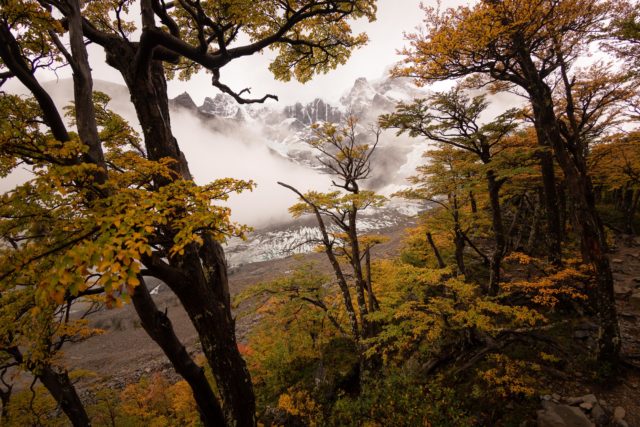 Chili_8175 <p>Patagonie - Vallée des français</p>