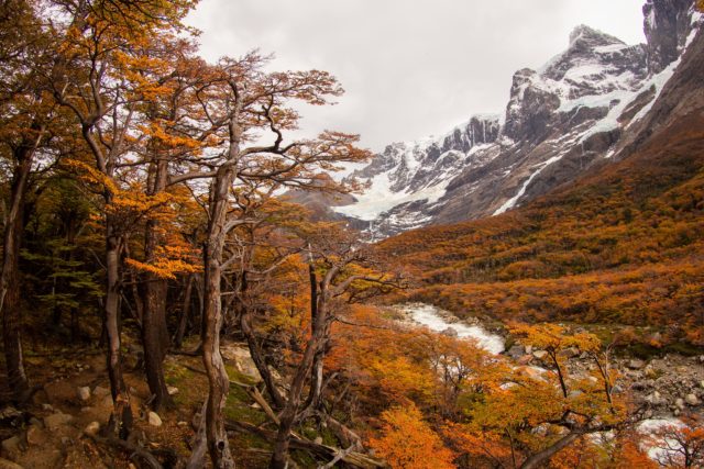 Chili_8417 Patagonie chili