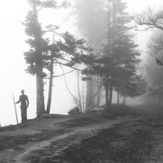 Solitude Hivernale