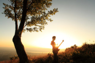 laure taberlet bass player