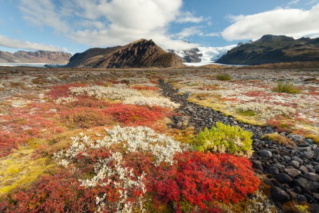 _MG_3062 islande skaftafel