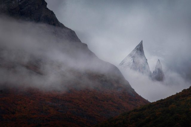 Chili-3098 <p>Patagonie - Aleta de tiburon</p>